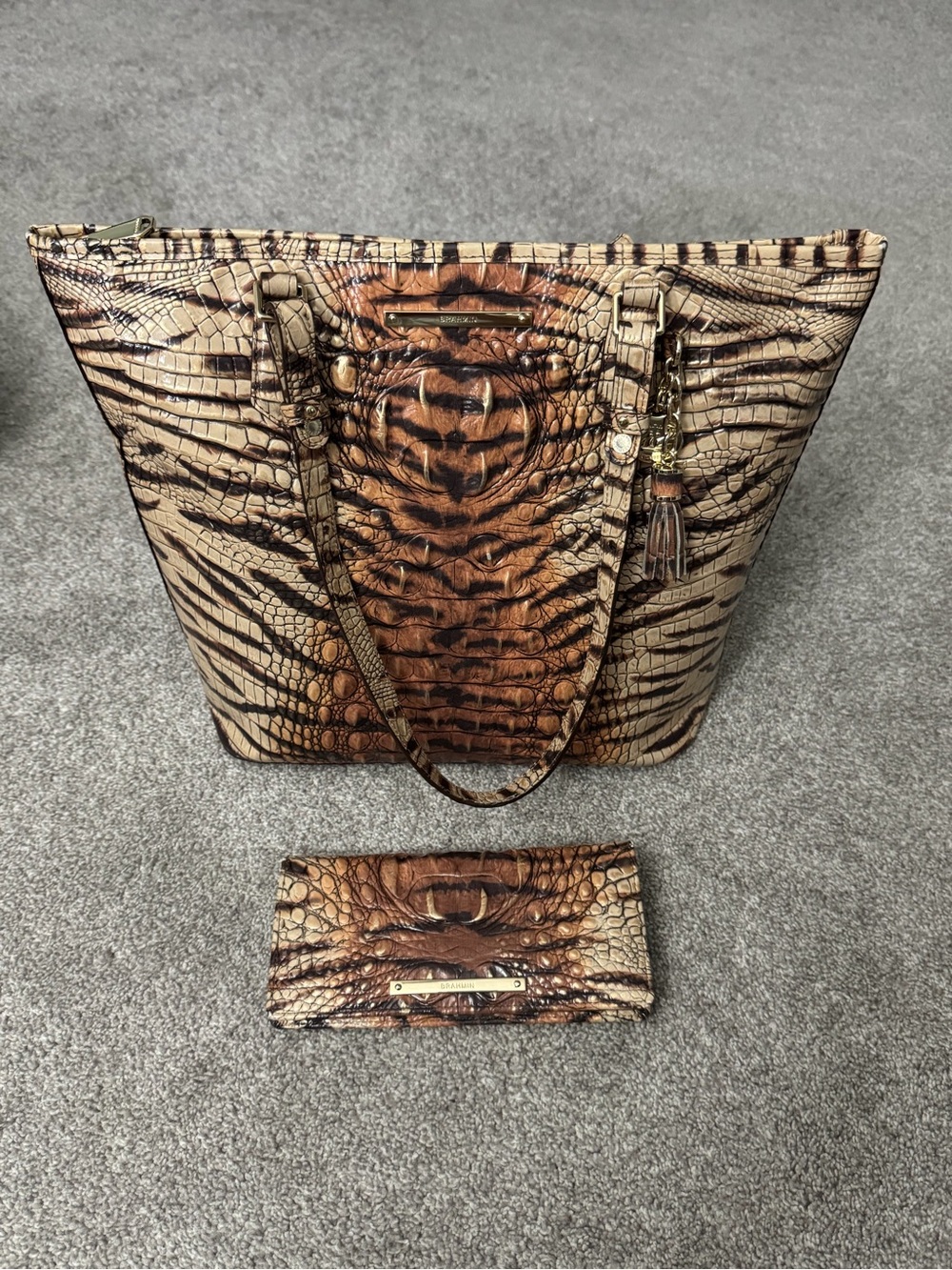Brahmin Medium Asher Feline Ombre Tote with Ady Wallet